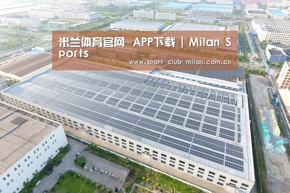 案例展示二