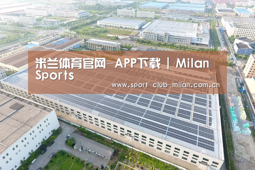 案例展示四