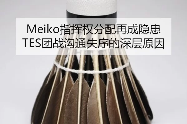 Meiko指挥权分配再成隐患 TES团战沟通失序的深层原因